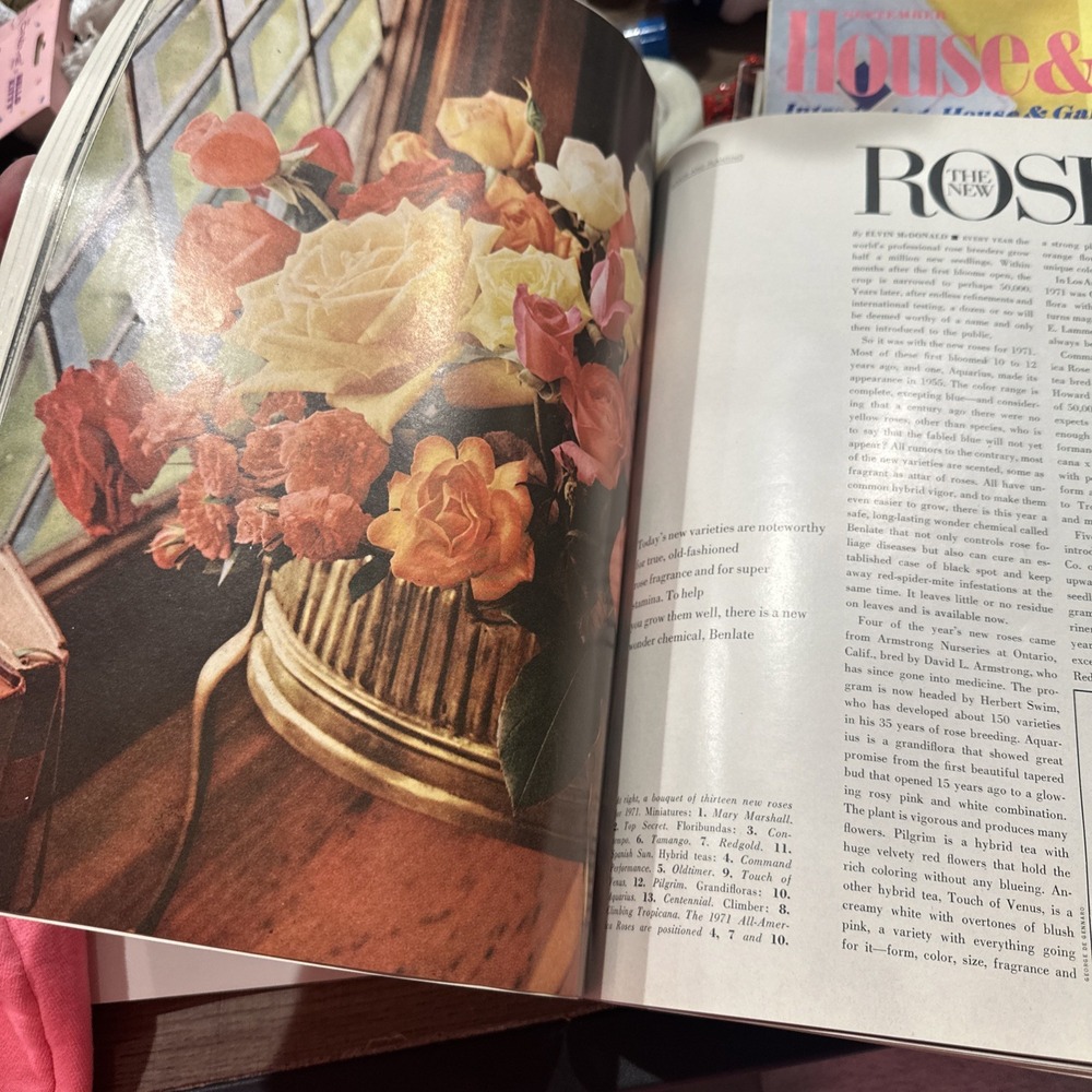 Vintage House Beautiful Gardening & Outdoor Living Magazine 1972 decorating ads - Picture 7 of 8